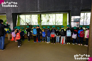 0303-2.jpg
